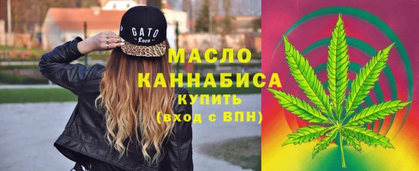 мдпв Богородск