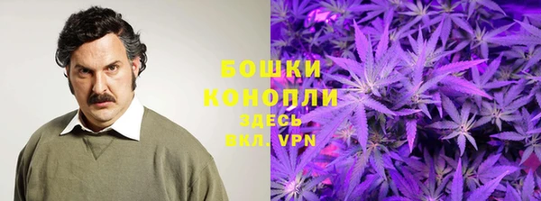 мдпв Богородск