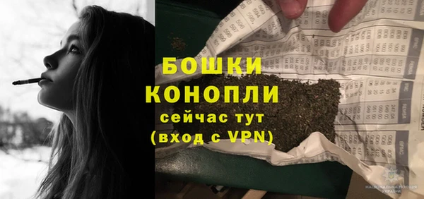 мдпв Богородск
